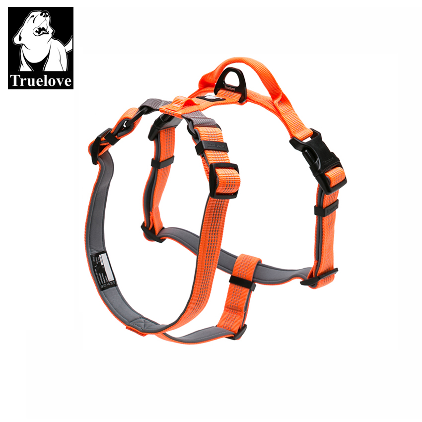 Running Gear Dog - Truelove Szelki dla zwierząt Regulowany odblaskowy