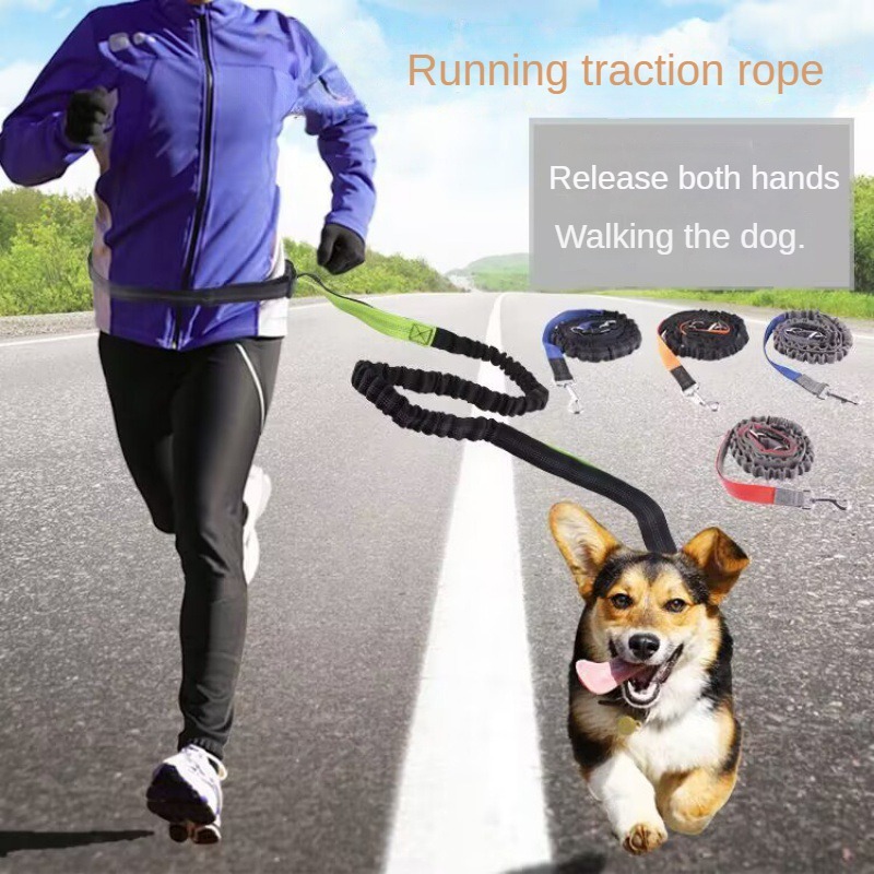 Running Gear Dog - Smycz dla psa z możliwością użycia