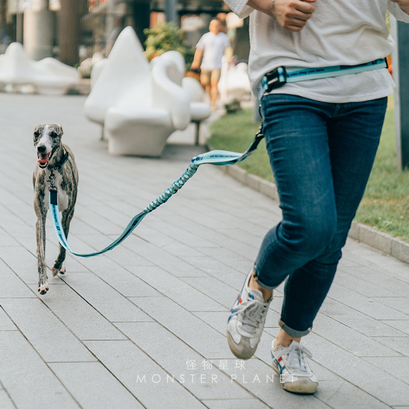 Regulowana smycz dla psa bez u – Running Gear Dog recenzja i cena