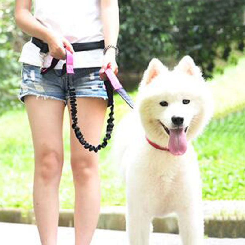 Regulowana smycz dla psa bez u – Running Gear Dog recenzja i cena