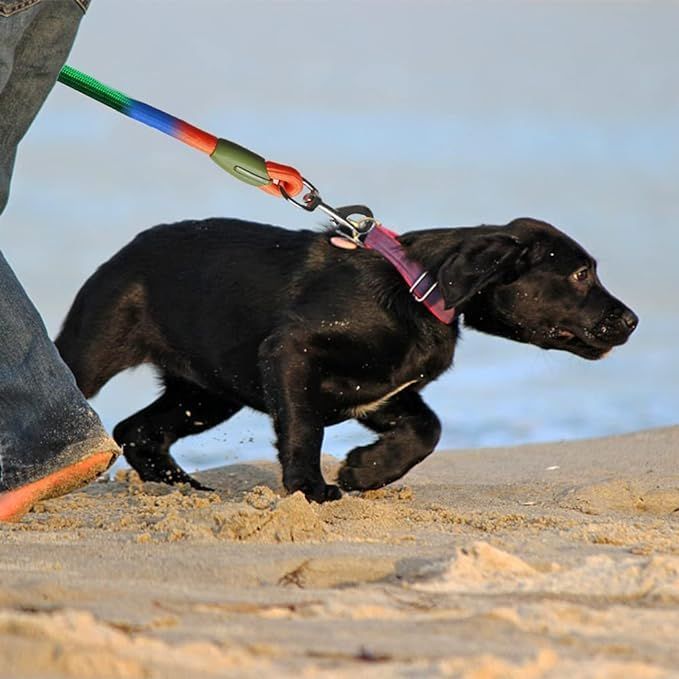 Regulowana smycz dla psa z moż – Running Gear Dog recenzja i cena