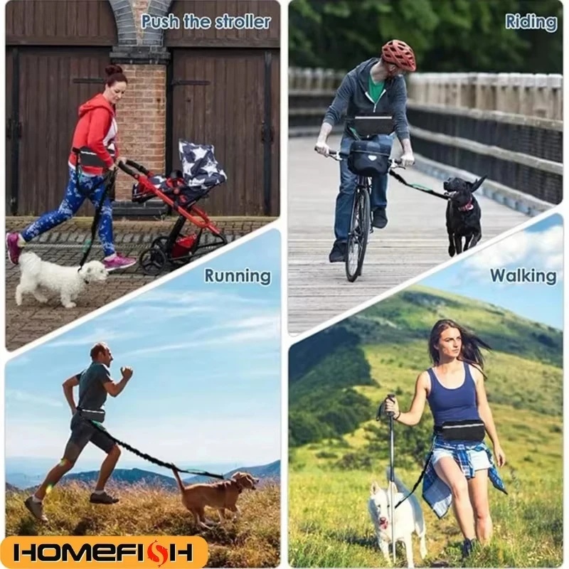 Bezdotykowa odblaskowa smycz d – Running Gear Dog recenzja i cena