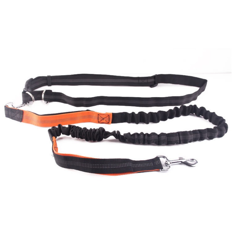 Smycz dla psa z możliwością uż – Running Gear Dog recenzja i cena